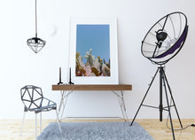 Load image into Gallery viewer, Wayne Ford Studio Photography Print Prickly Pear II