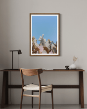 Load image into Gallery viewer, Wayne Ford Studio Photography Print Prickly Pear II