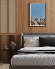 Load image into Gallery viewer, Wayne Ford Studio Photography Print Prickly Pear II