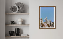 Load image into Gallery viewer, Wayne Ford Studio Photography Print Prickly Pear II