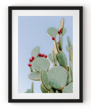 Load image into Gallery viewer, Wayne Ford Studio Photography Print Prickly Pear III