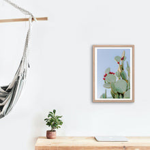 Load image into Gallery viewer, Wayne Ford Studio Photography Print Prickly Pear III