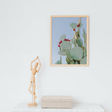 Load image into Gallery viewer, Wayne Ford Studio Photography Print Prickly Pear III
