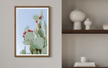 Load image into Gallery viewer, Wayne Ford Studio Photography Print Prickly Pear III