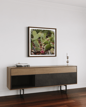 Load image into Gallery viewer, Wayne Ford Studio Photography Print Prickly Pear IV