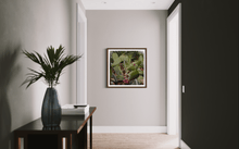 Load image into Gallery viewer, Wayne Ford Studio Photography Print Prickly Pear IV