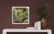 Load image into Gallery viewer, Wayne Ford Studio Photography Print Prickly Pear IV