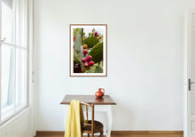 Load image into Gallery viewer, Wayne Ford Studio Photography Print Prickly Pear V