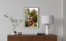 Load image into Gallery viewer, Wayne Ford Studio Photography Print Prickly Pear V