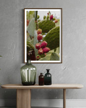 Load image into Gallery viewer, Wayne Ford Studio Photography Print Prickly Pear V