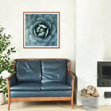 Load image into Gallery viewer, Wayne Ford Studio Photography Print Succulent Square