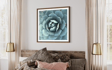 Load image into Gallery viewer, Wayne Ford Studio Photography Print Succulent Square