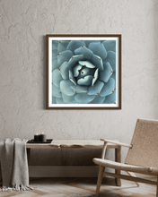 Load image into Gallery viewer, Wayne Ford Studio Photography Print Succulent Square