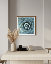 Load image into Gallery viewer, Wayne Ford Studio Photography Print Succulent Square