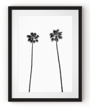 Load image into Gallery viewer, Wayne Ford Studio Photography Print Twin Palms