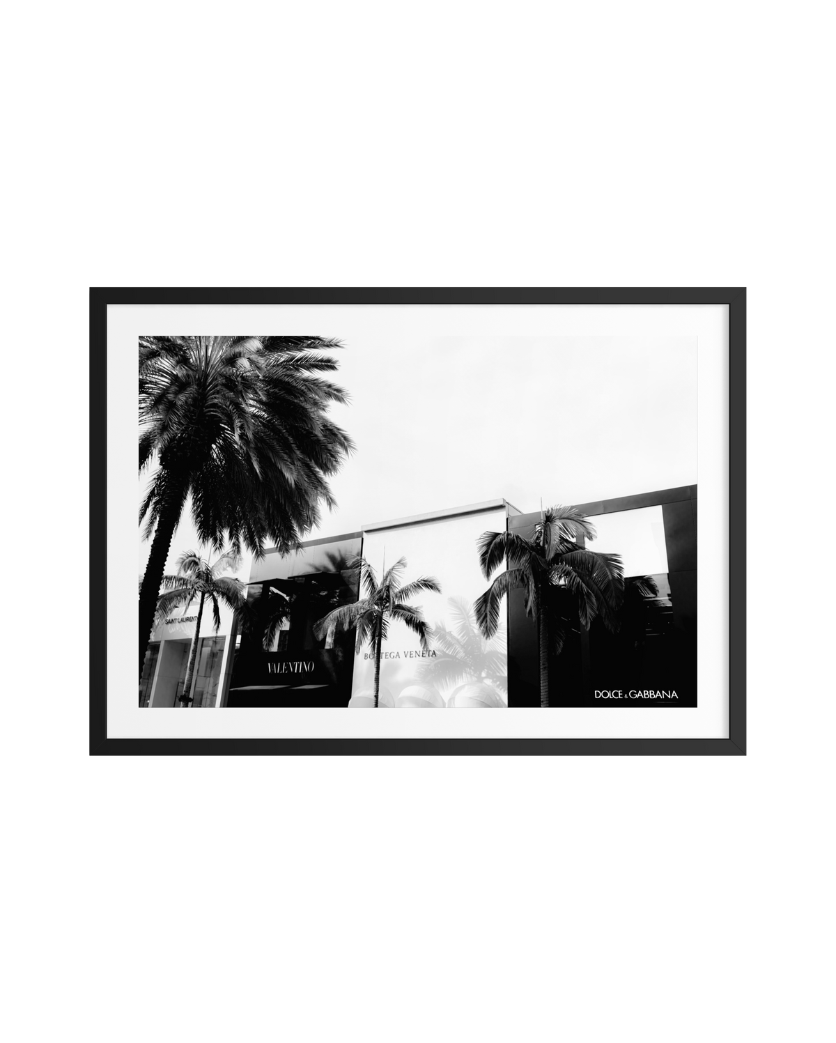 Black-and-white photograph of palm trees along Rodeo Drive in Beverly Hills, displayed in a black frame.