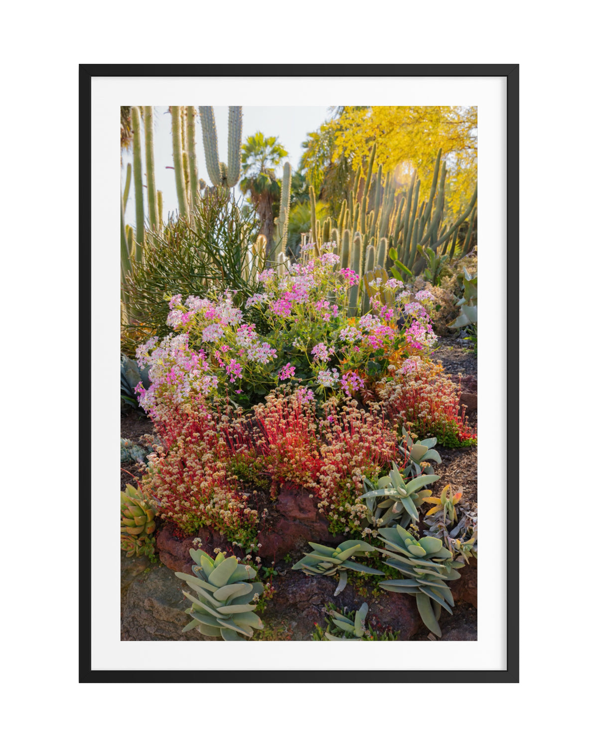 Framed print of vivid wildflowers and tall cacti surrounded by lush greenery in “Cactus Garden II.”.