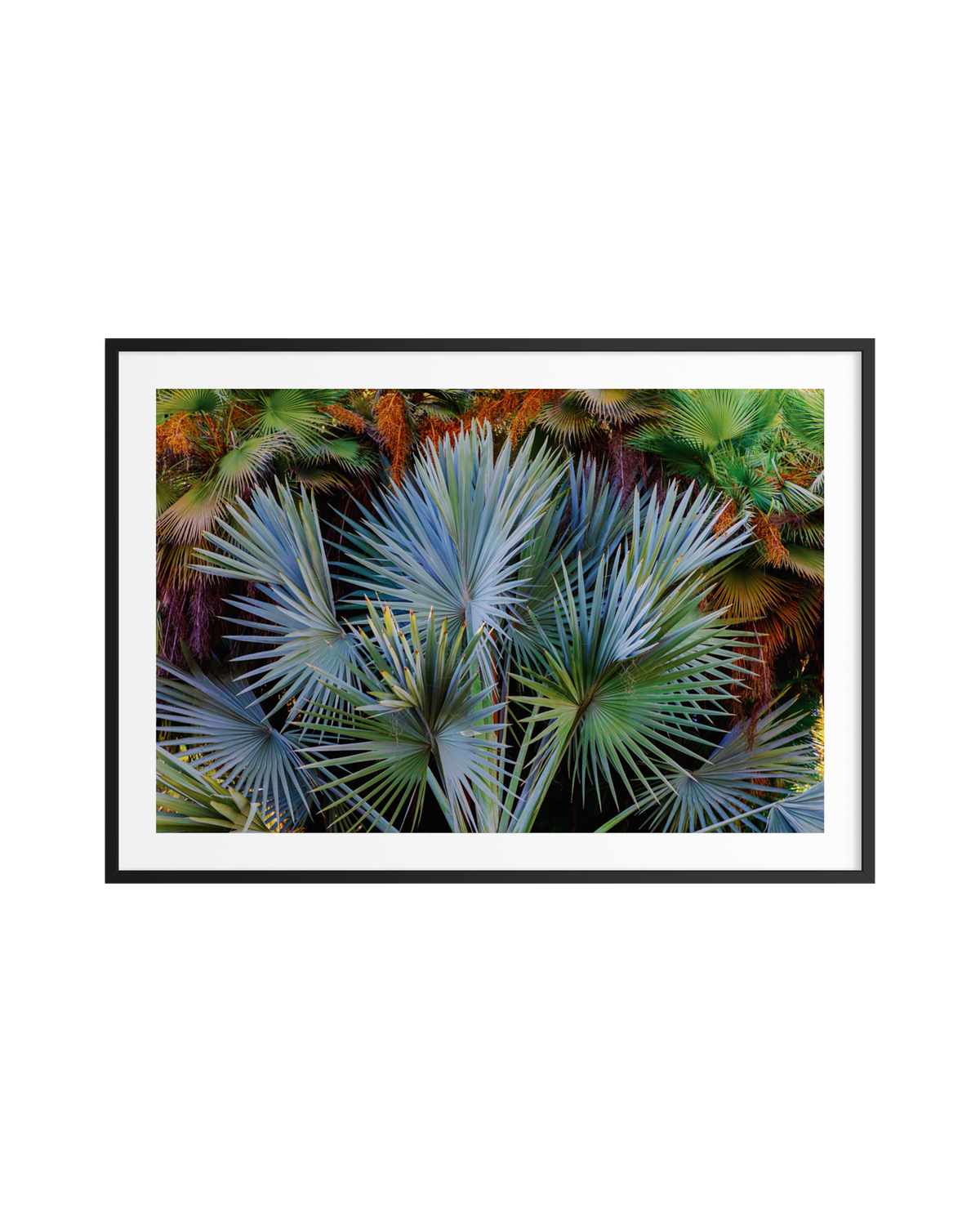Colorful palm fronds fill the frame in this original print, highlighting vivid natural textures and details.