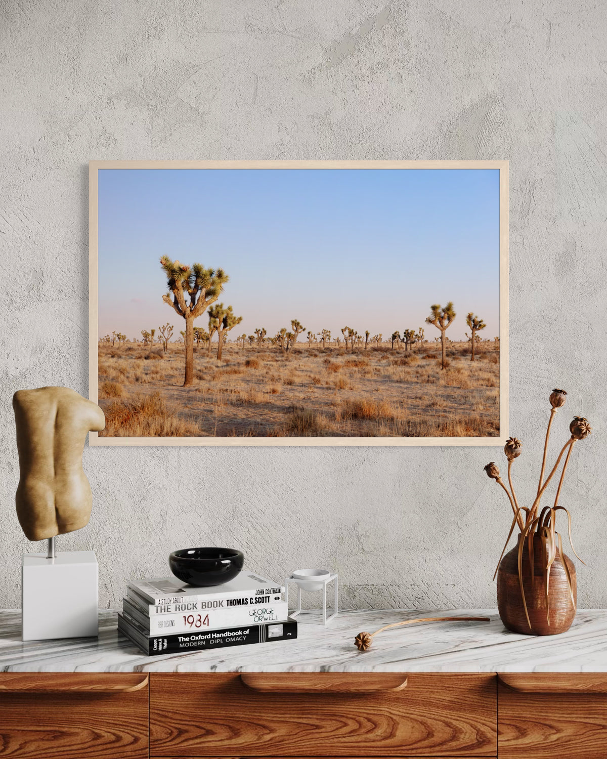 Joshua Tree Evening