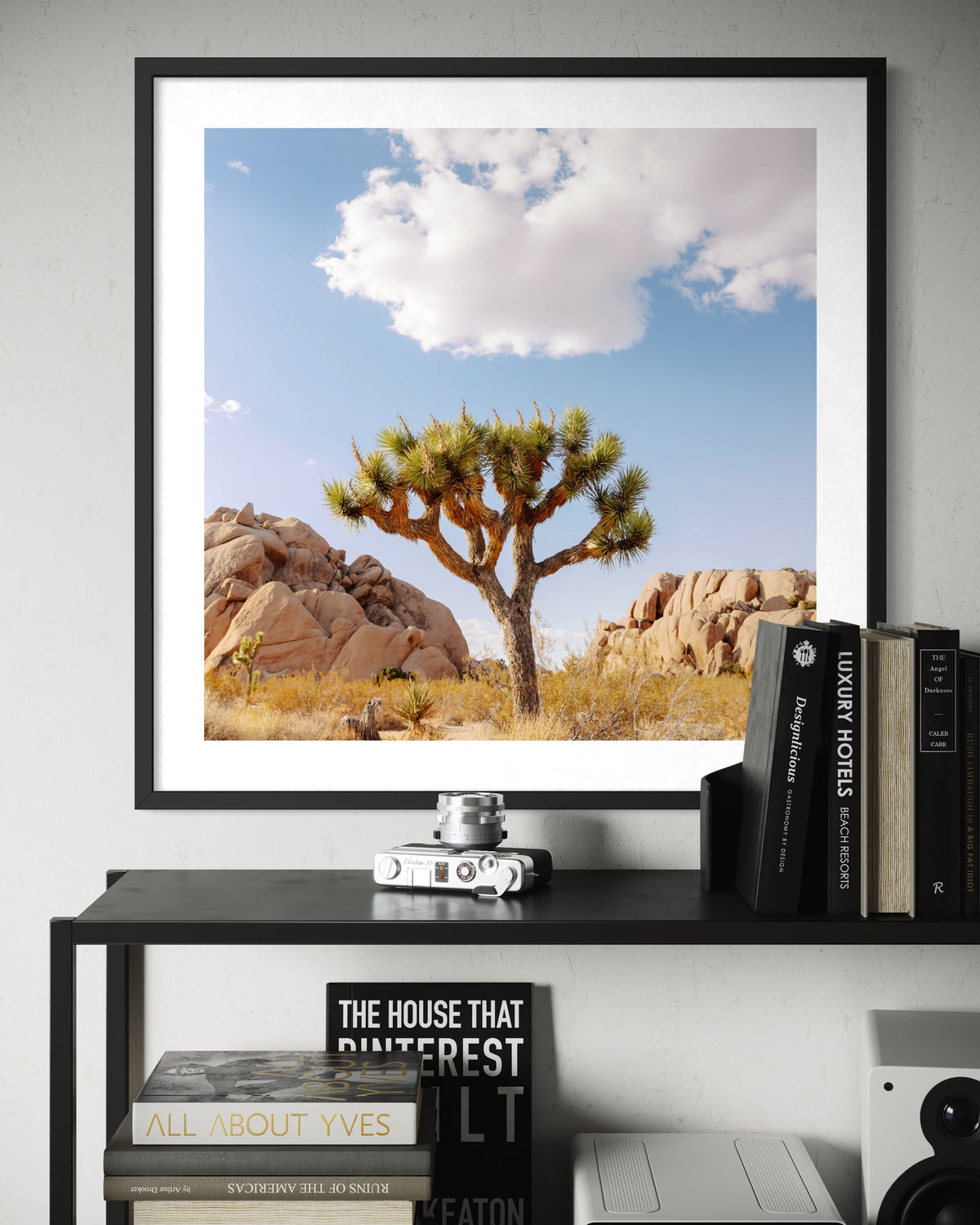 Framed print of a Joshua tree, photographed in the California desert, displayed above books and a vintage camera.