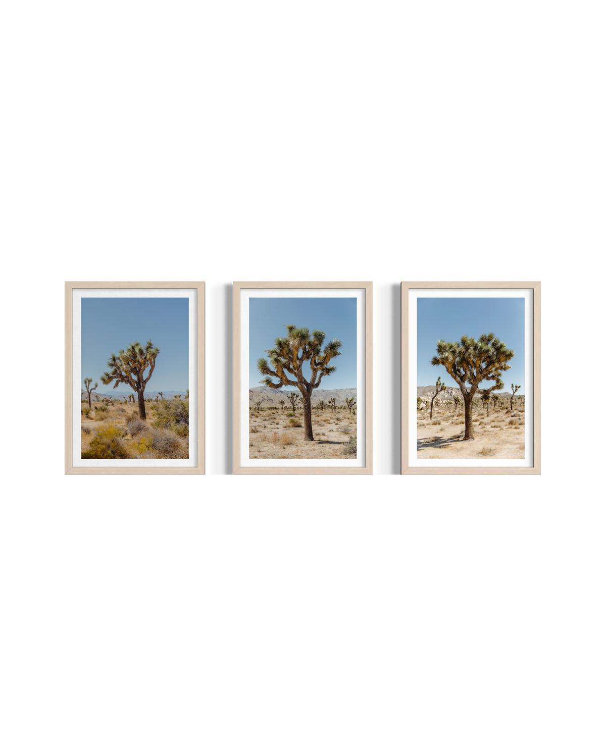 Three framed prints of Joshua Tree landscapes arranged side by side on a white gallery wall.