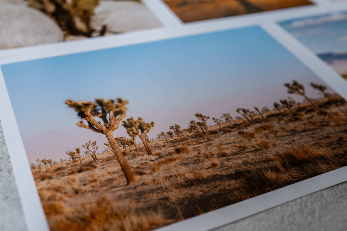 Desert landscape in Joshua Tree with clear blue sky, photographed for a limited edition print.