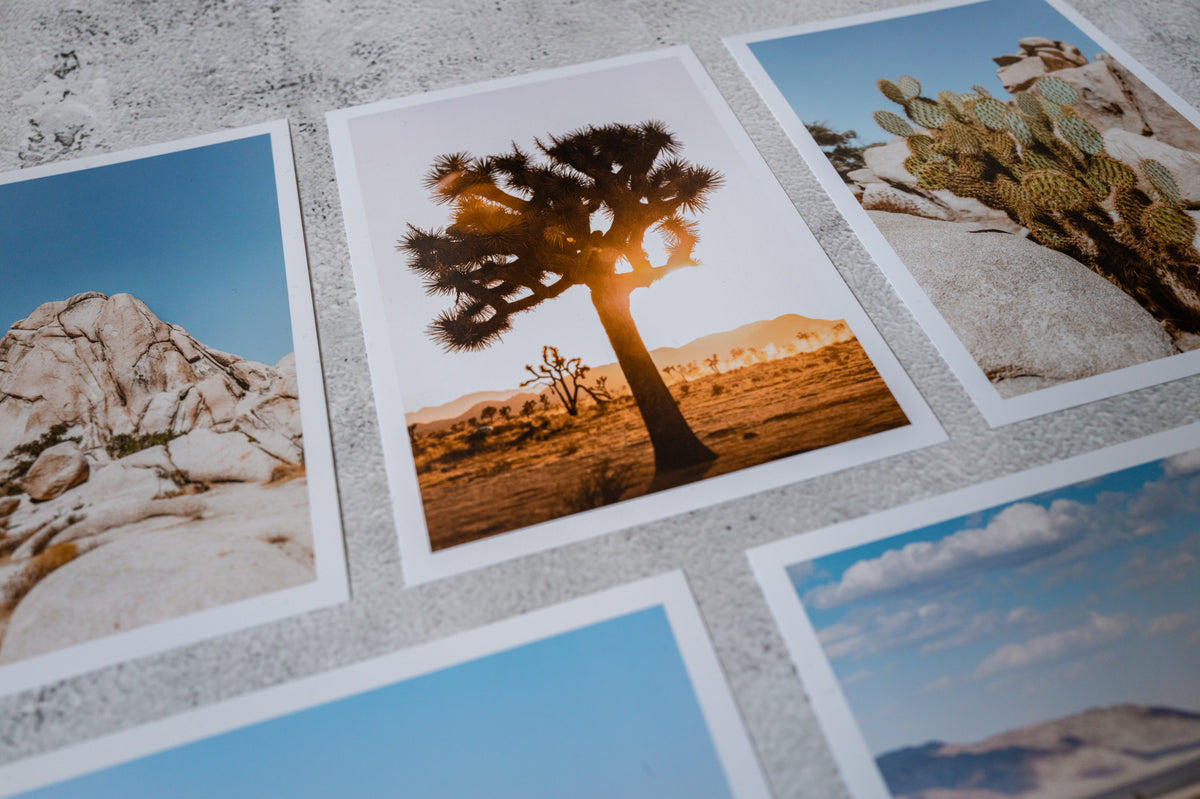 Set of five Joshua Tree desert landscape prints with rocks and cacti, arranged on a textured gray surface.