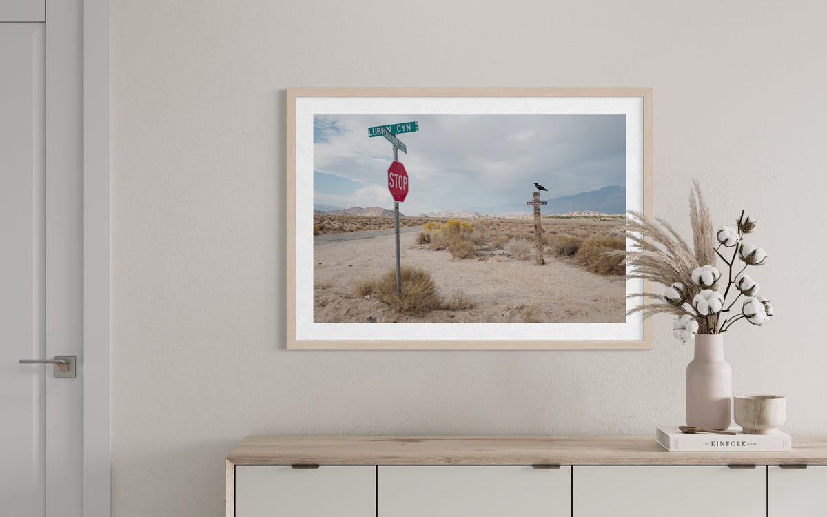 Framed Lone Pine Sentinel photograph from California hangs on beige wall above cabinet with vase and books.