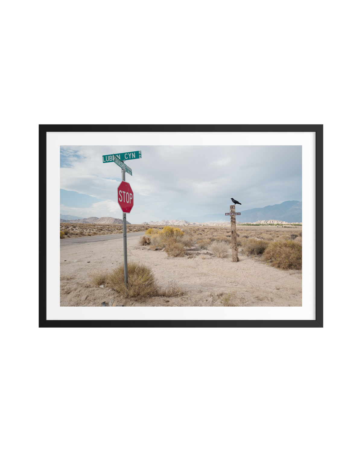 A crow perched on a post near dry brush and street signs, with mountains under a cloudy sky in Lone Pine, California.