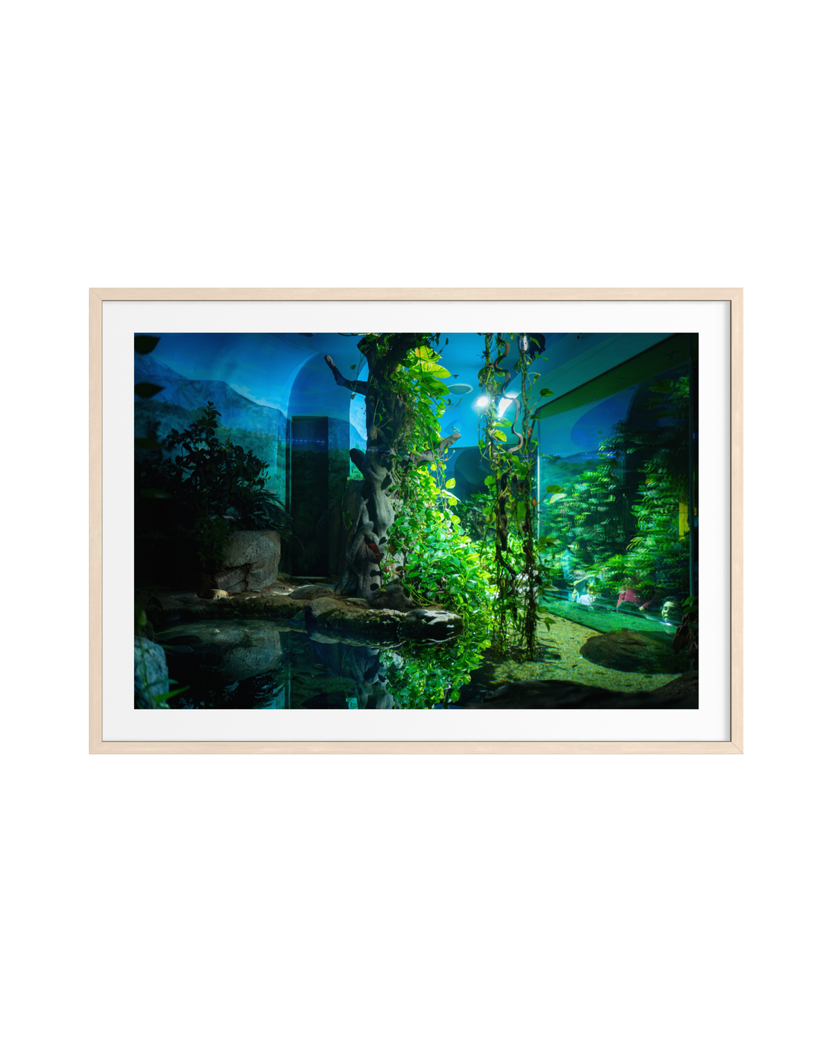 LA Zoo indoor aquarium glowing at night, surrounded by lush green plants and natural rocks.