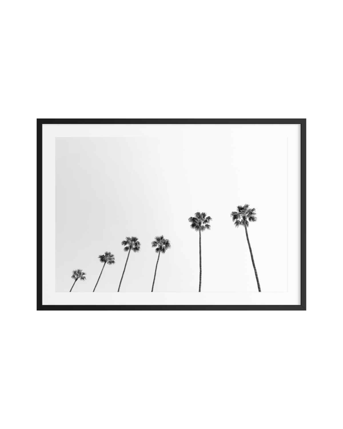 Black and white print of seven palm trees in a row, reminiscent of classic California, in a black frame.