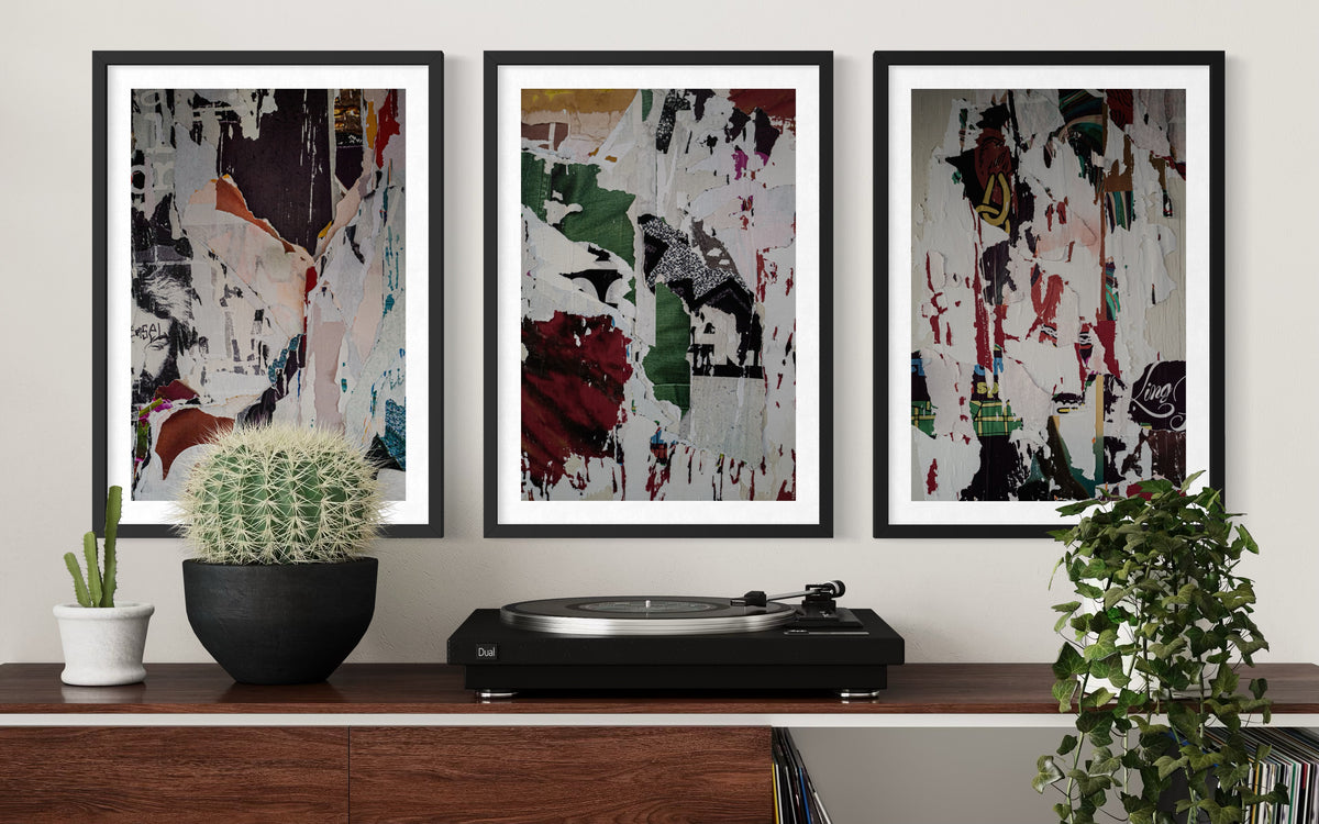 Photographic paste-up installation above a shelf with a turntable, potted plants, and cactus in view.