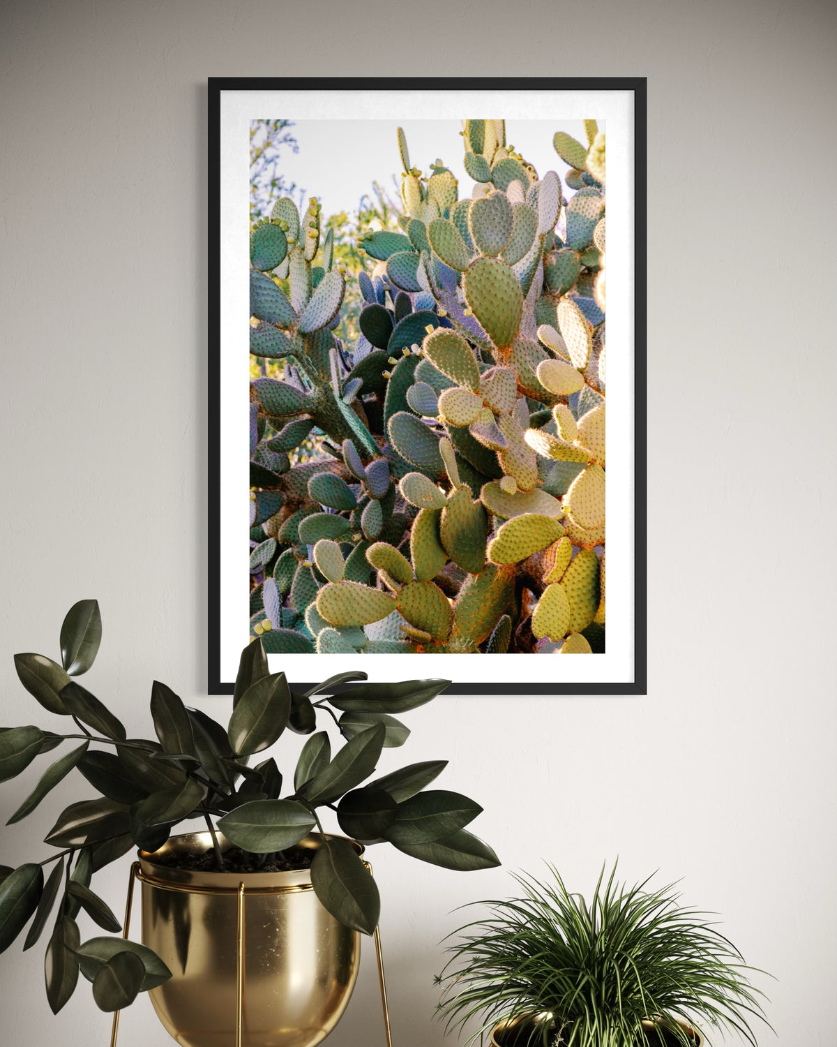 Framed Prickly Pear cactus print hangs above a gold planter with a leafy green houseplant.