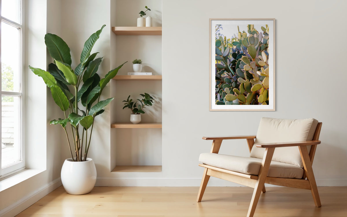 Framed Prickly Pear cactus photo on wall above wooden chair and potted plant in a living room setting.