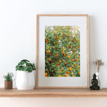 Load image into Gallery viewer, Wayne Ford Studio Photography Print Citrus Summer
