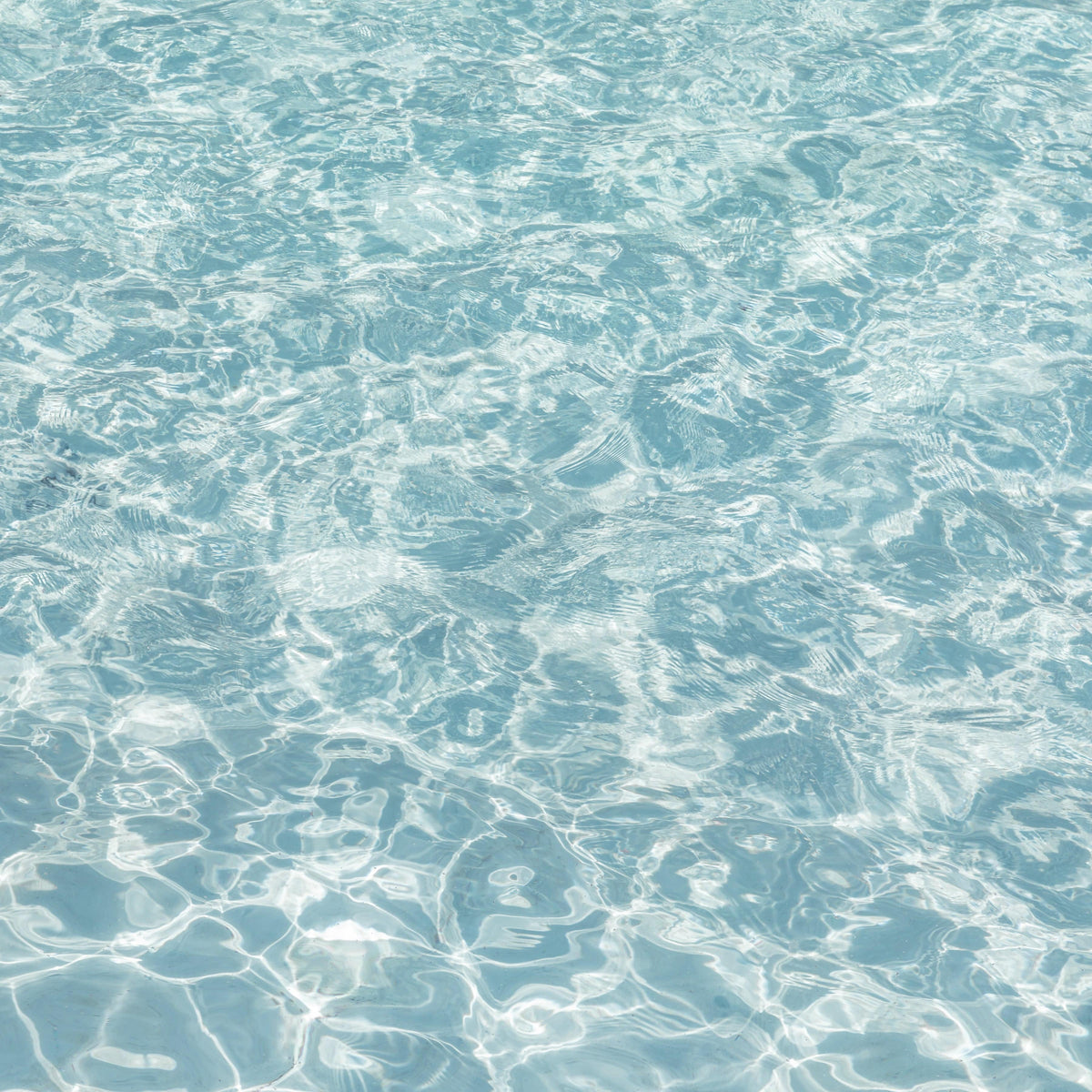 Calm blue water reflects sunlight on a clear summer afternoon.