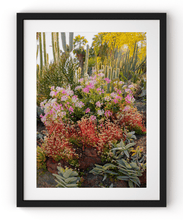 Load image into Gallery viewer, Wayne Ford Studio Photography Print Cactus Garden II

