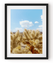 Load image into Gallery viewer, Wayne Ford Studio Photography Print Chola Cactus
