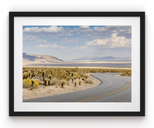 Load image into Gallery viewer, Wayne Ford Studio Photography Print Chola Cactus Road
