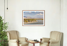 Load image into Gallery viewer, Wayne Ford Studio Photography Print Chola Cactus Road
