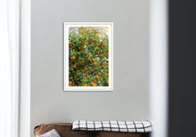 Load image into Gallery viewer, Wayne Ford Studio Photography Print Citrus Summer
