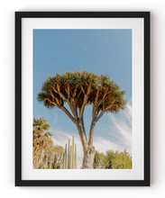 Load image into Gallery viewer, Wayne Ford Studio Photography Print Dragon Tree
