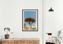 Load image into Gallery viewer, Wayne Ford Studio Photography Print Dragon Tree
