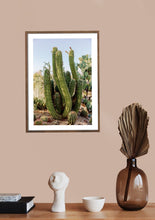 Load image into Gallery viewer, Wayne Ford Studio Photography Print Elephant Cactus

