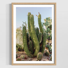 Load image into Gallery viewer, Wayne Ford Studio Photography Print Elephant Cactus
