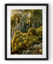 Load image into Gallery viewer, Wayne Ford Studio Photography Print Golden Barrel Cactus
