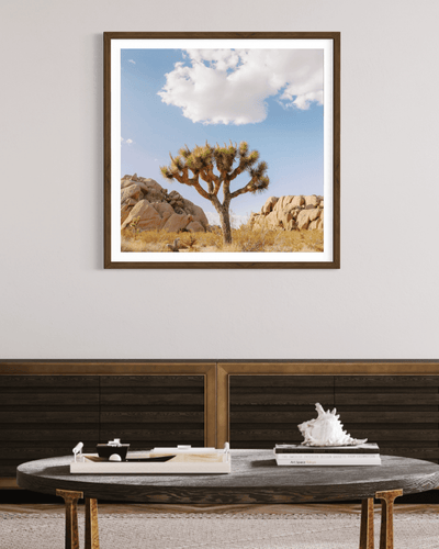 Wayne Ford Studio Photography Print Joshua Tree IV