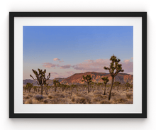 Load image into Gallery viewer, Wayne Ford Studio Photography Print Joshua Tree Magic Hour

