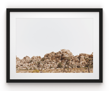 Load image into Gallery viewer, Wayne Ford Studio Photography Print Joshua Tree Minimal
