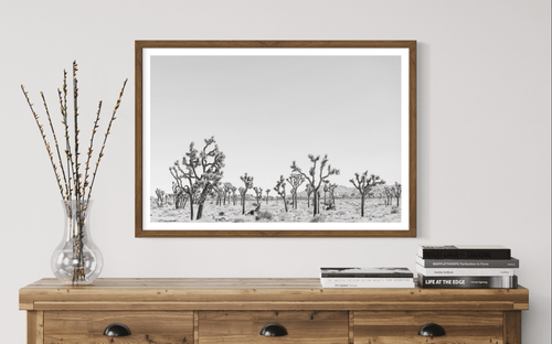 Wayne Ford Studio Photography Print Joshua Tree Minimal II